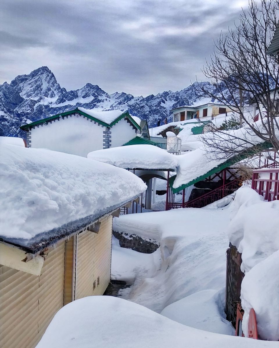 Photo of Auli Laga Joshimath, Uttarakhand, India by Apurva Jain