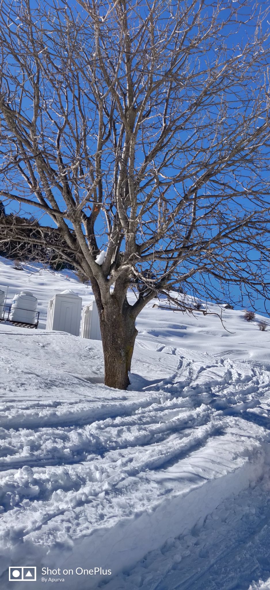Photo of Auli Laga Joshimath, Uttarakhand, India by Apurva Jain