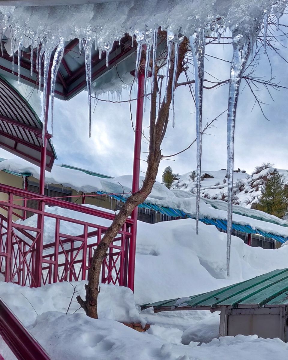 Photo of Auli Laga Joshimath, Uttarakhand, India by Apurva Jain