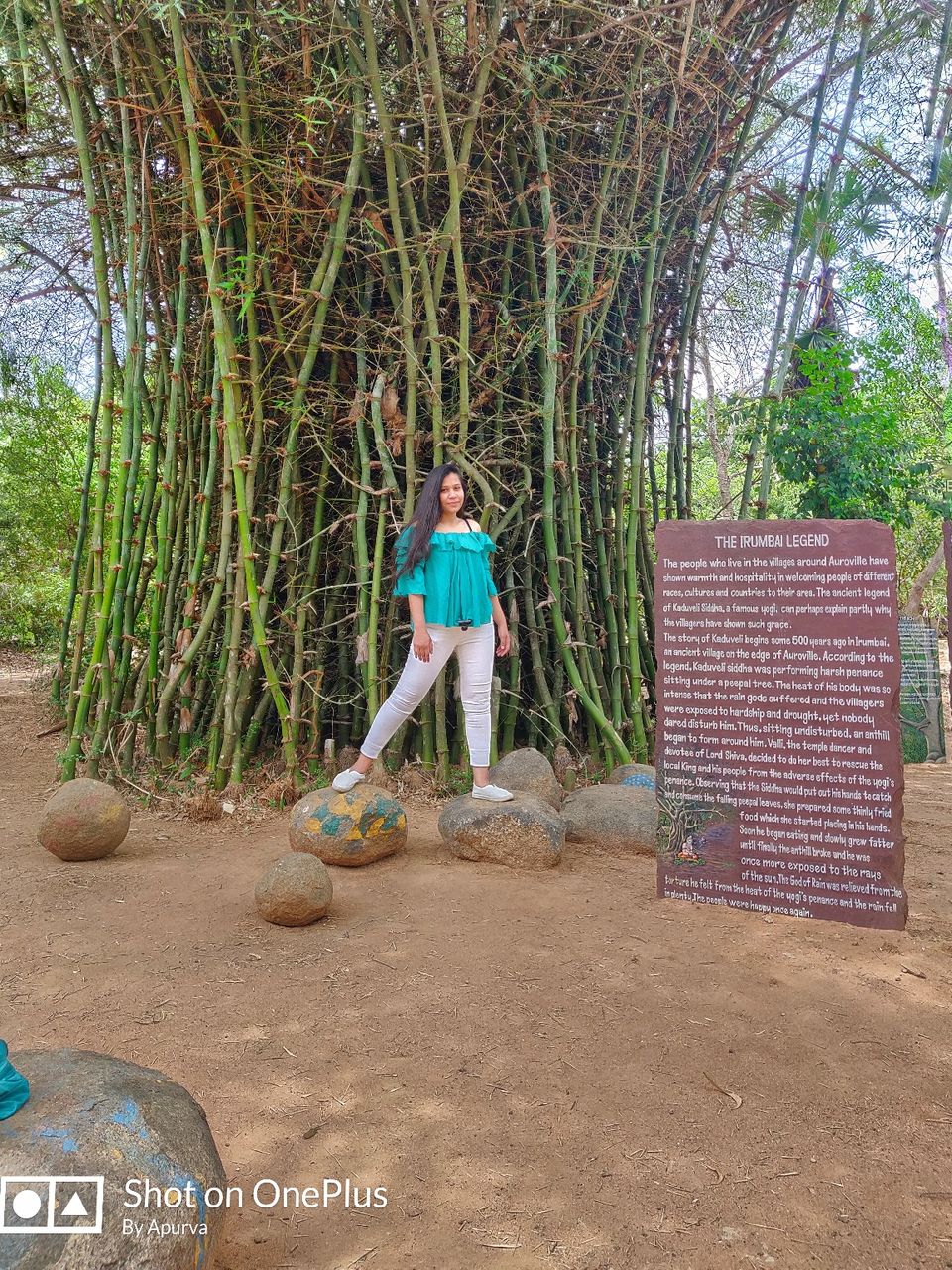 Photo of Matrimandir, Auroville, Bommayapalayam, Tamil Nadu, India by Apurva Jain