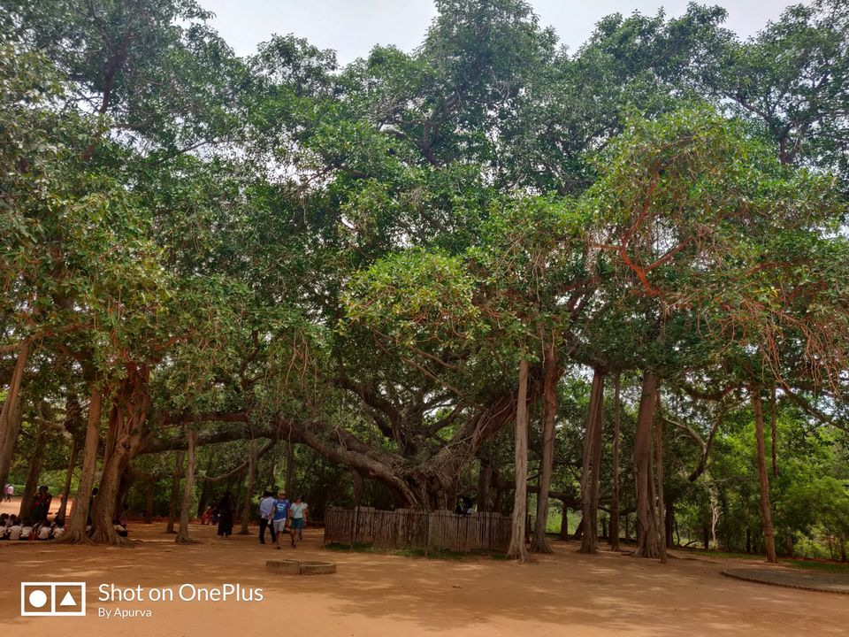 Photo of Matrimandir, Auroville, Bommayapalayam, Tamil Nadu, India by Apurva Jain