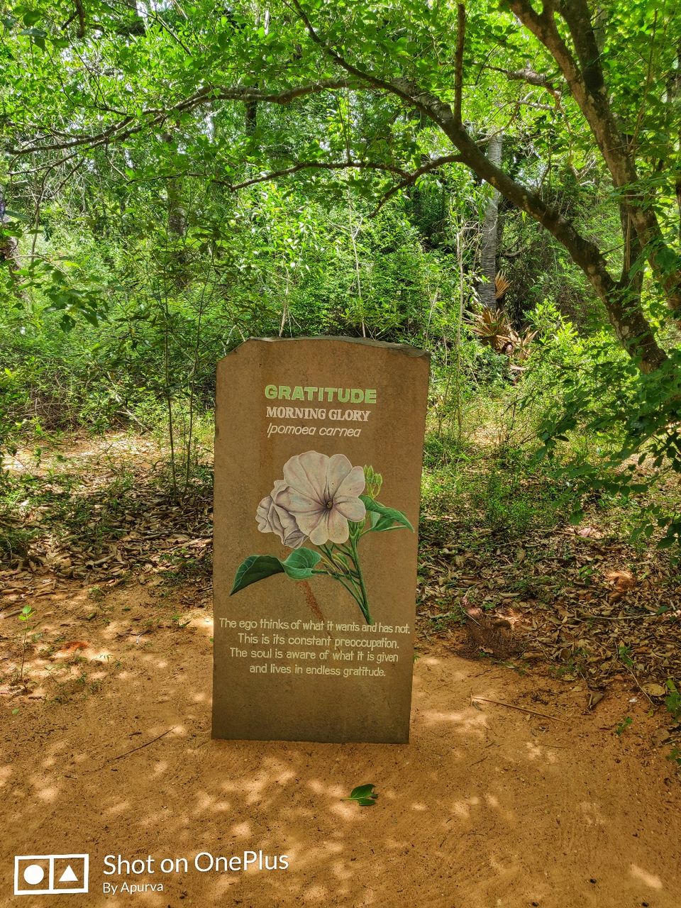 Photo of Matrimandir, Auroville, Bommayapalayam, Tamil Nadu, India by Apurva Jain