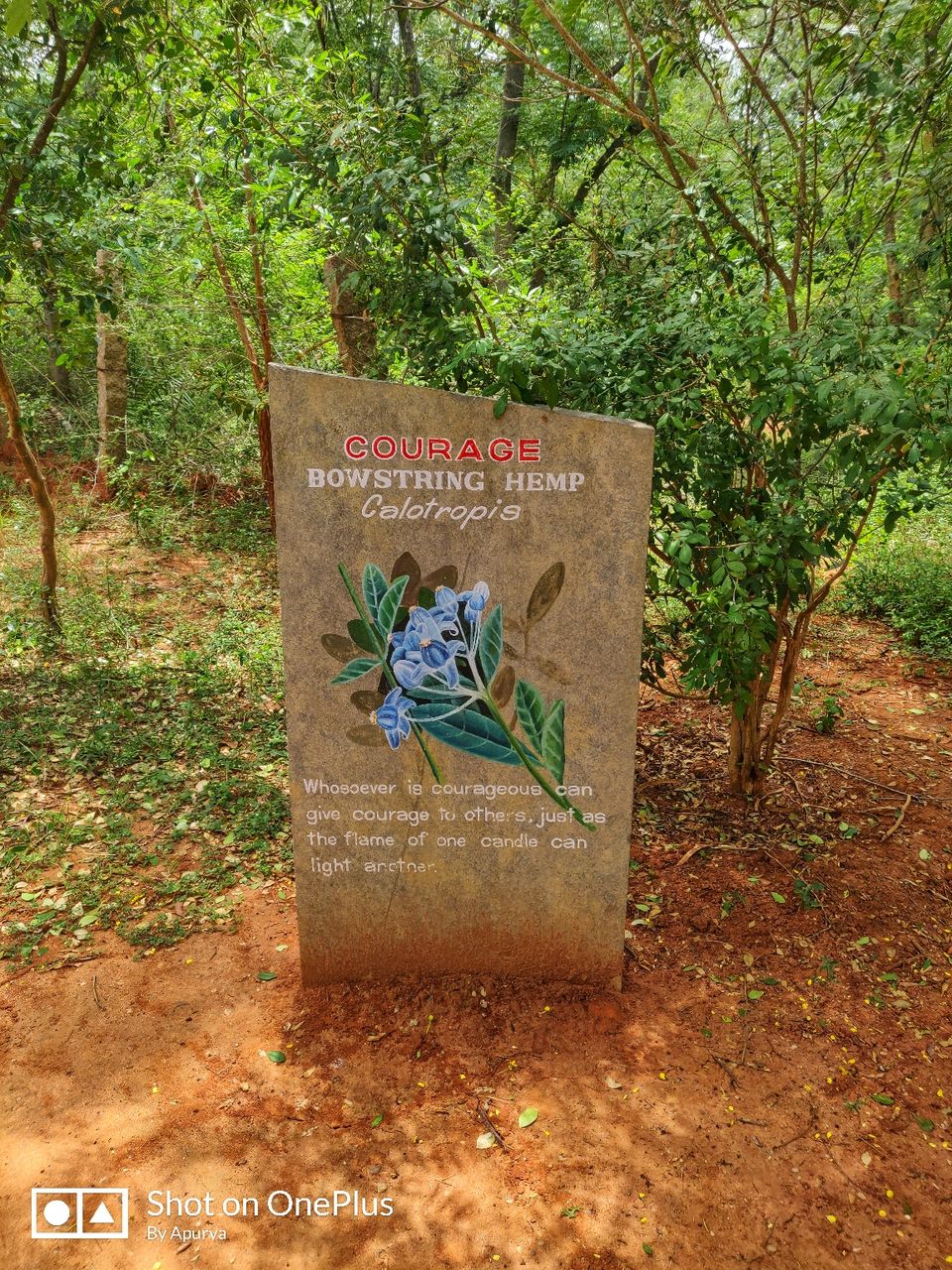 Photo of Matrimandir, Auroville, Bommayapalayam, Tamil Nadu, India by Apurva Jain