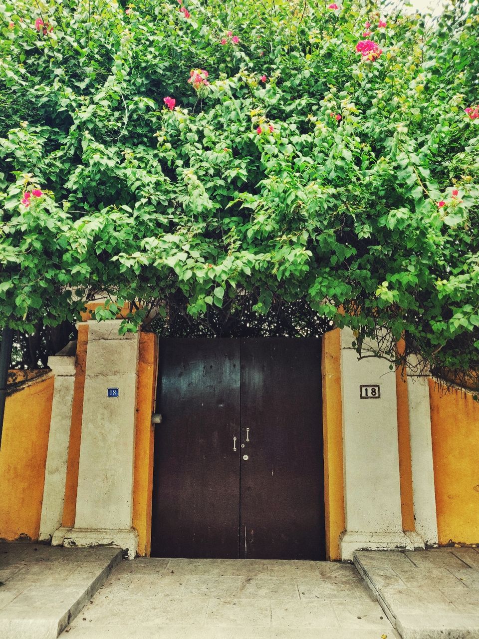 Photo of French Colonial Pondicherry, Senthamarai Nagar, Muthialpet, Puducherry, India by Apurva Jain