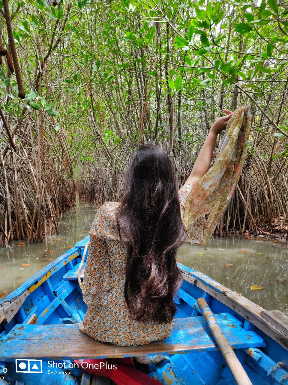 Photo of Pichavaram Mangrove Forest, Pichavaram, Tamil Nadu, India by Apurva Jain