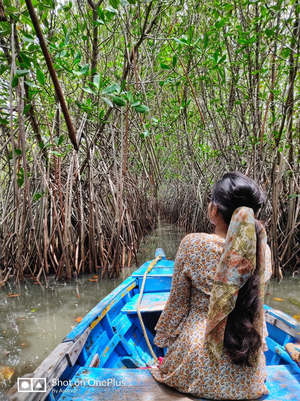 Photo of Pichavaram Mangrove Forest, Pichavaram, Tamil Nadu, India by Apurva Jain
