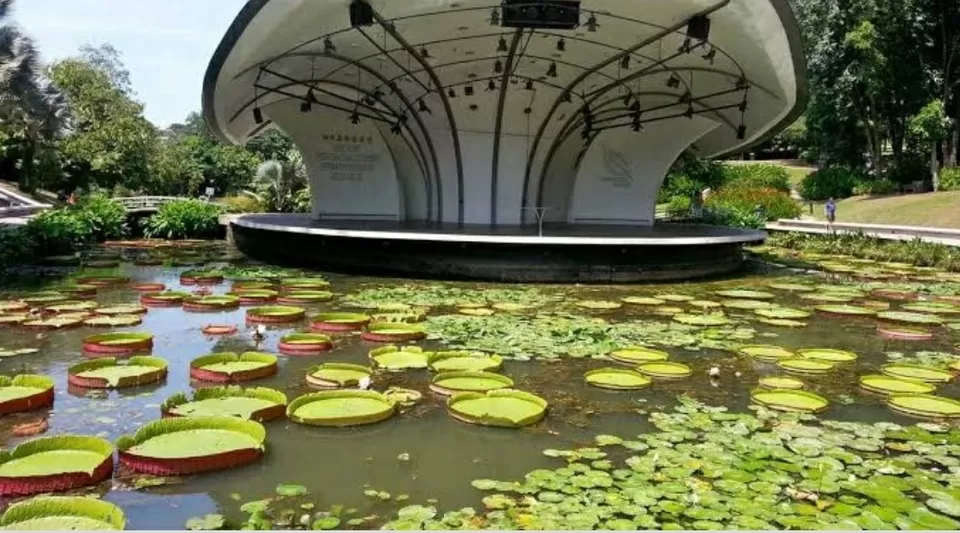 Photo of Botanical Garden, Maraimalai Adigal Salai, Near Anna Statue, Ambedkar Nagar, Orleanpet, Pondicherry, Puducherry, India by Apurva Jain