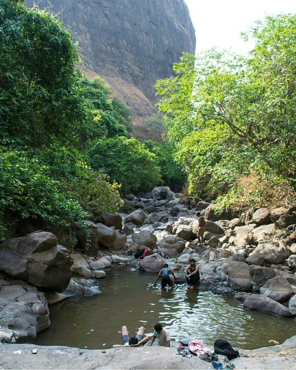 Photo of Plus valley Trek: in quest of a hidden Pool 1/9 by Dinesh Kumar