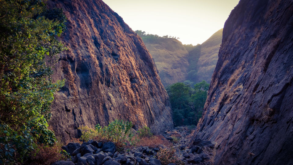 Photo of Plus valley Trek: in quest of a hidden Pool 6/9 by Dinesh Kumar