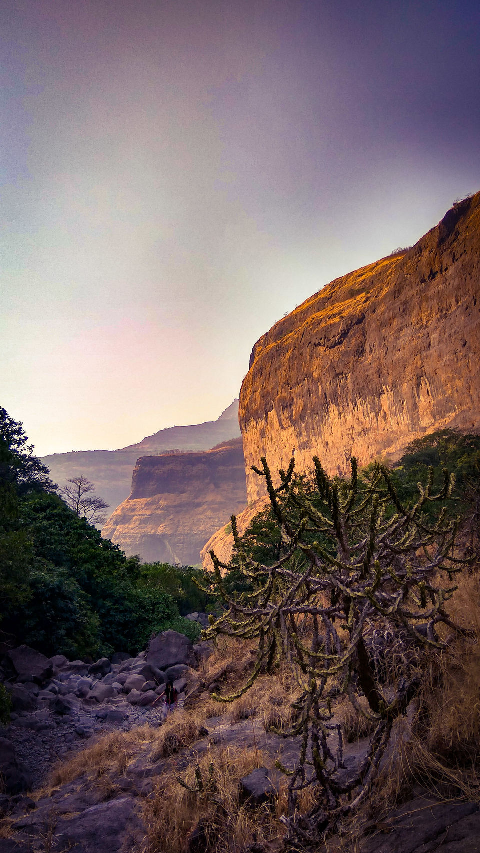Photo of Plus valley Trek: in quest of a hidden Pool 7/9 by Dinesh Kumar