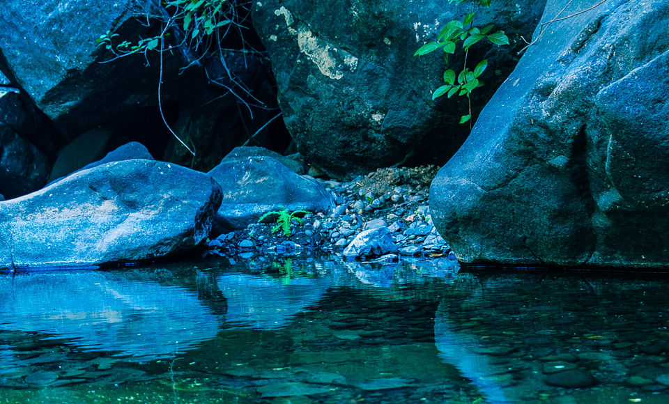 Photo of Plus valley Trek: in quest of a hidden Pool 8/9 by Dinesh Kumar