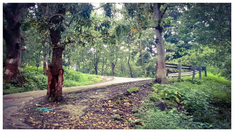 Photo of 7 must explore wanders at Matheran by Dinesh Kumar