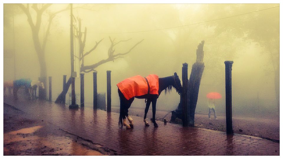 Photo of 7 must explore wanders at Matheran by Dinesh Kumar