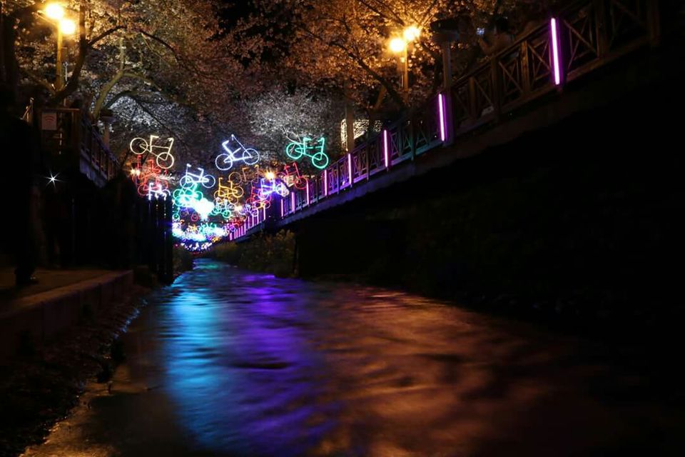 Photo of Jinhae Gunhangje Festival, Tongsin-dong, Gyeongsangnam-do, South Korea by Marian Victoria Alcantara