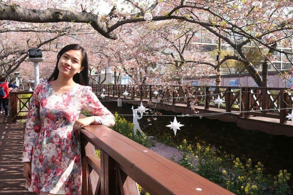 Photo of Jinhae Cherry Blossoms Festival 2017 by Marian Victoria Alcantara