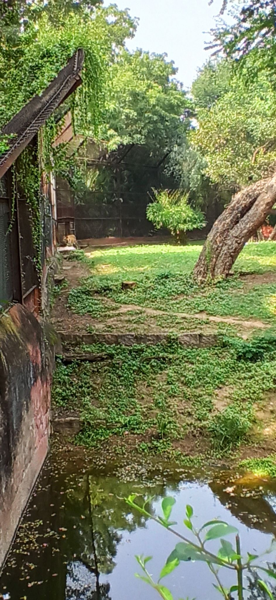Photo of Nehru Zoological Park, National Highway 44, Bahadurpura, Hyderabad, Telangana, India by Ankit Jain