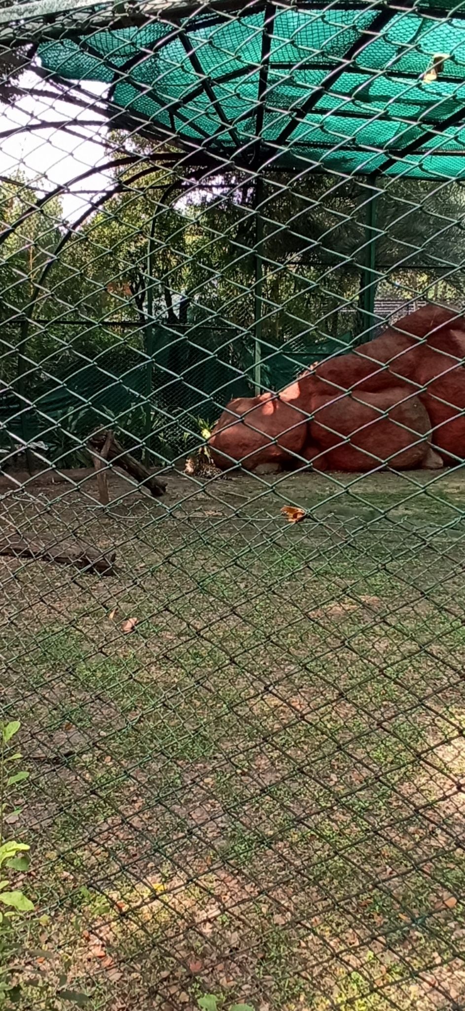 Photo of Nehru Zoological Park, National Highway 44, Bahadurpura, Hyderabad, Telangana, India by Ankit Jain