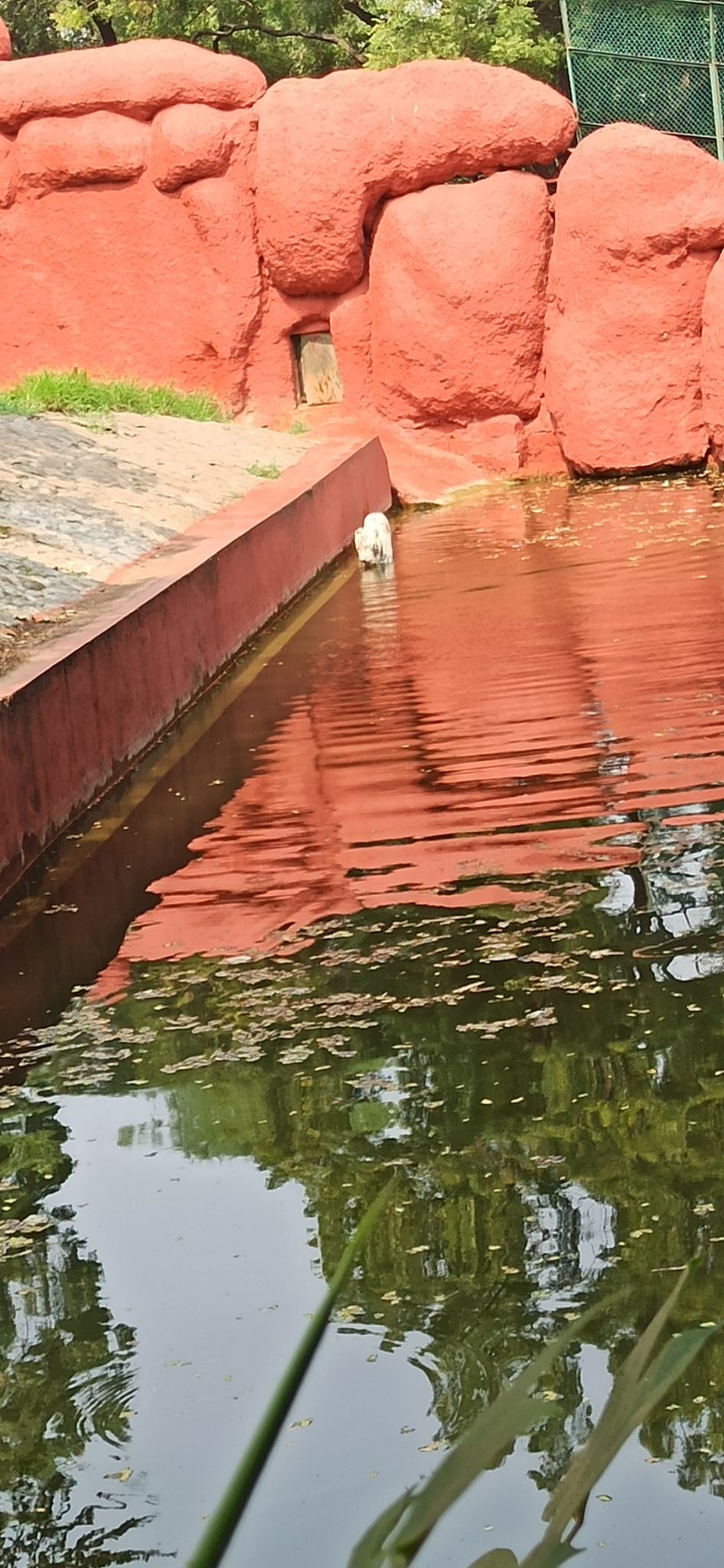 Photo of Nehru Zoological Park, National Highway 44, Bahadurpura, Hyderabad, Telangana, India by Ankit Jain