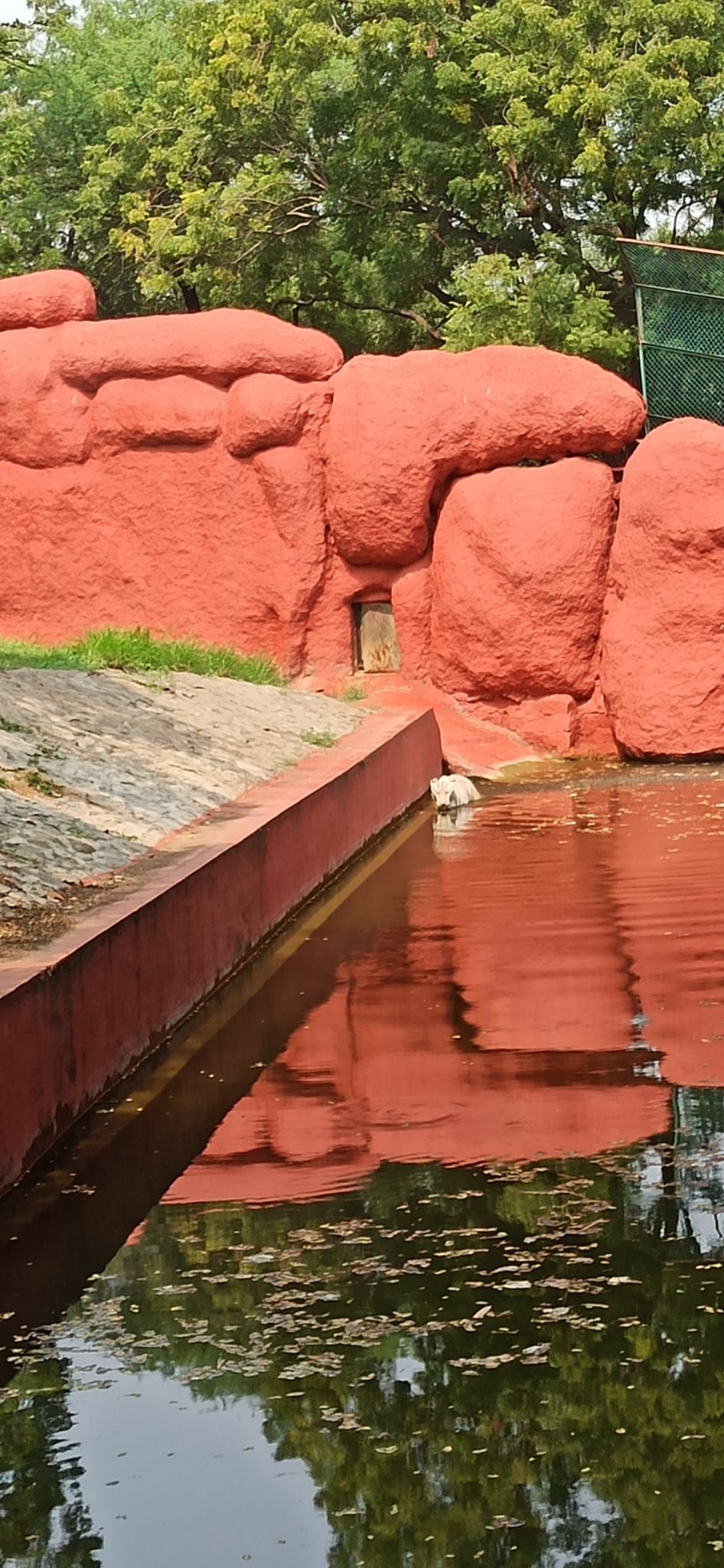 Photo of Nehru Zoological Park, National Highway 44, Bahadurpura, Hyderabad, Telangana, India by Ankit Jain