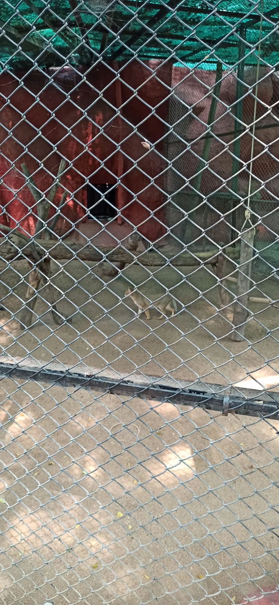 Photo of Nehru Zoological Park, National Highway 44, Bahadurpura, Hyderabad, Telangana, India by Ankit Jain