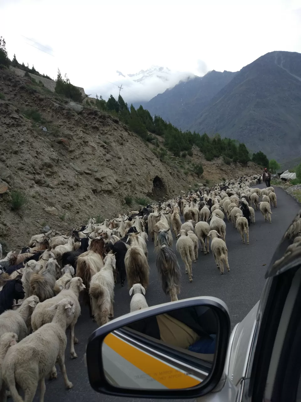 Photo of Koksar Bus Stop, Leh Manali Highway, Khoksar, Himachal Pradesh, India by liveharshitly