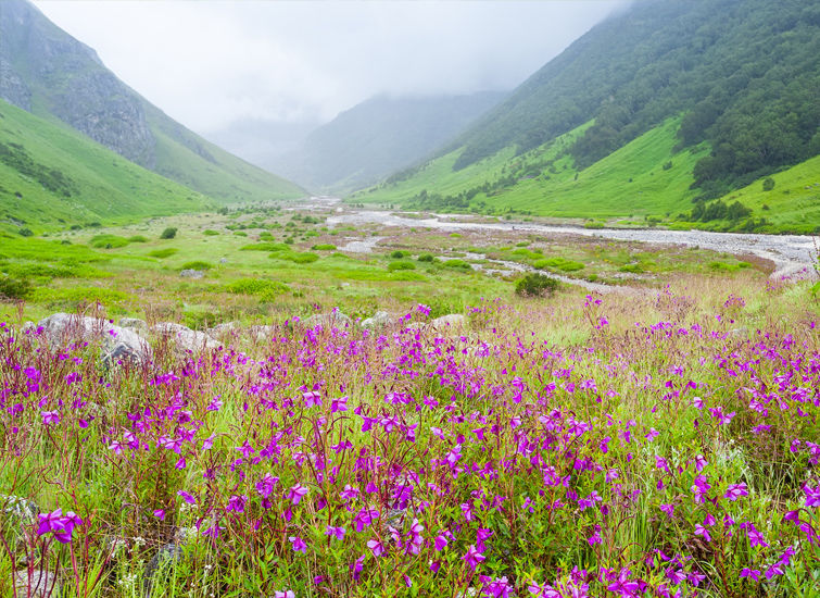 Photo of Must-Do Winter treks from Sep-Jan for every Trekkie 2/6 by liveharshitly