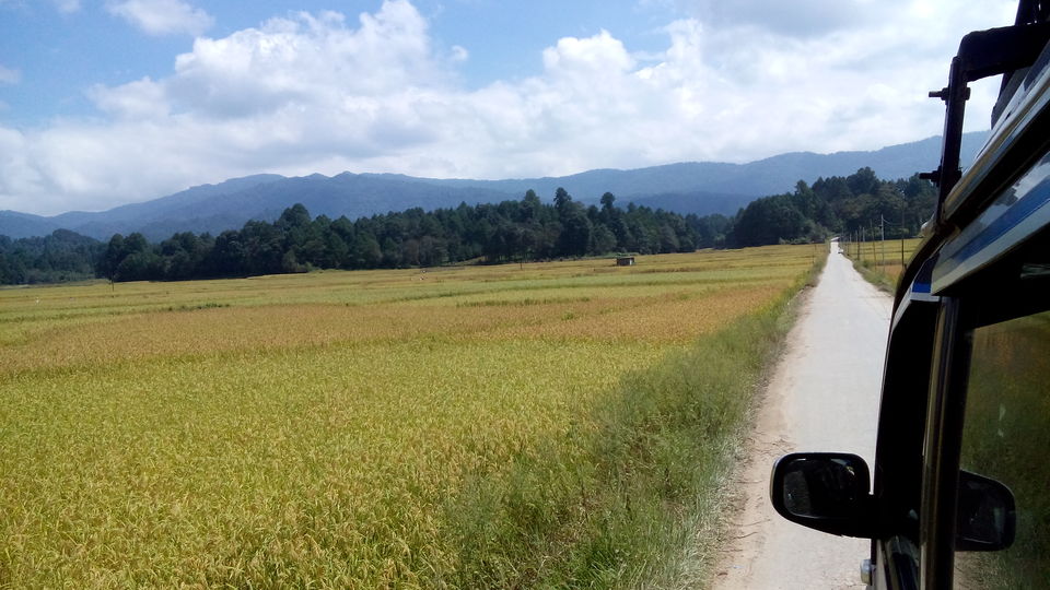 Photo of If it is September it has to be Ziro 2/11 by liveharshitly