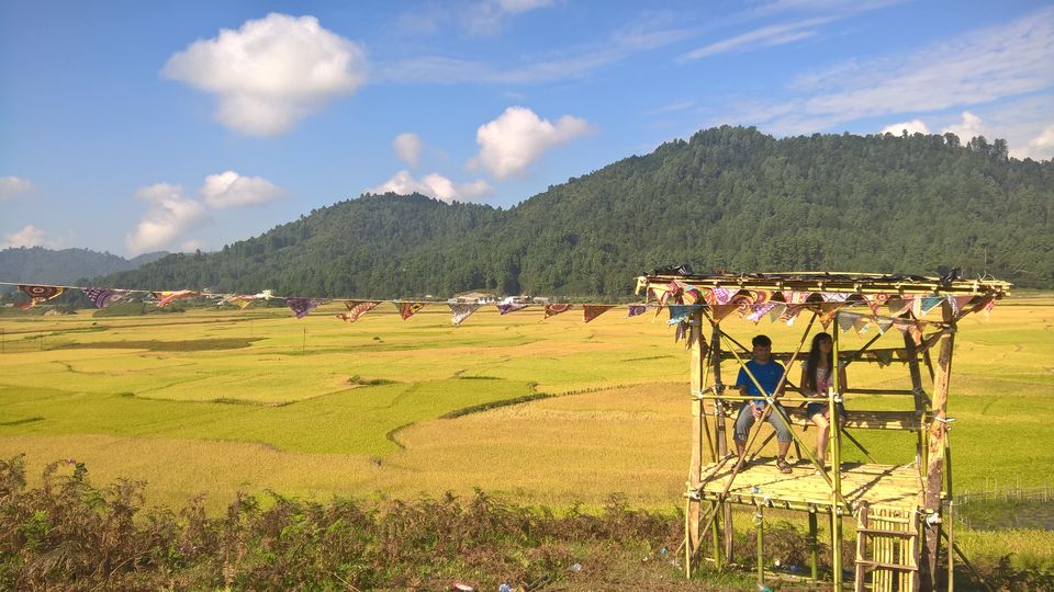 Photo of If it is September it has to be Ziro 11/11 by liveharshitly
