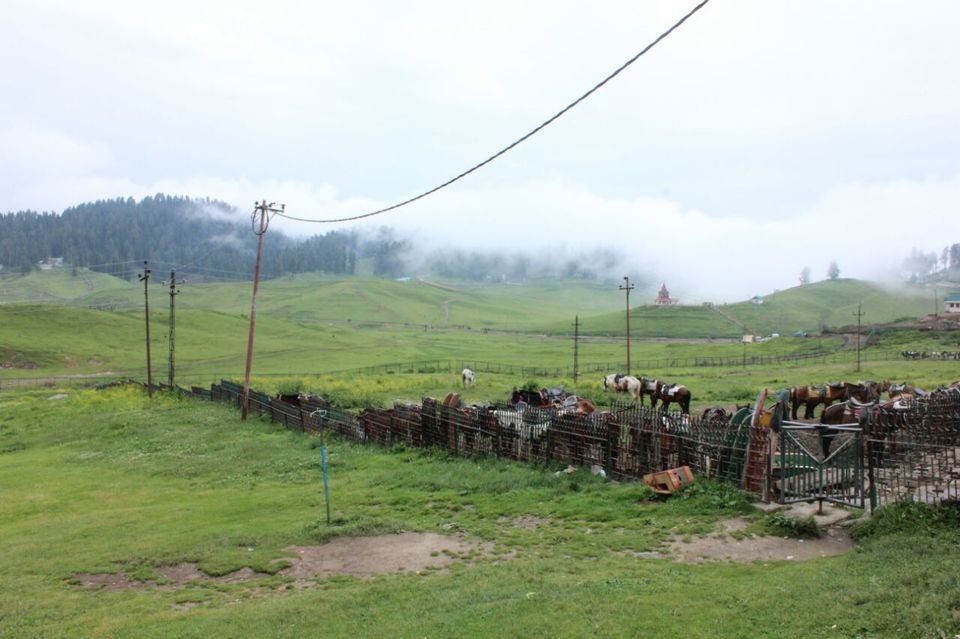 Photo of Gulmarg by liveharshitly