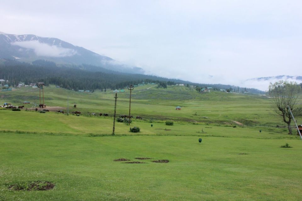 Photo of Gulmarg Gondola, Gulmarg by liveharshitly