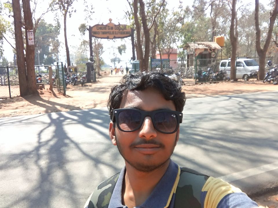 Photo of Sakrebyle Elephant Camp, Sakrebyle, Karnataka, India by basavaraj akki