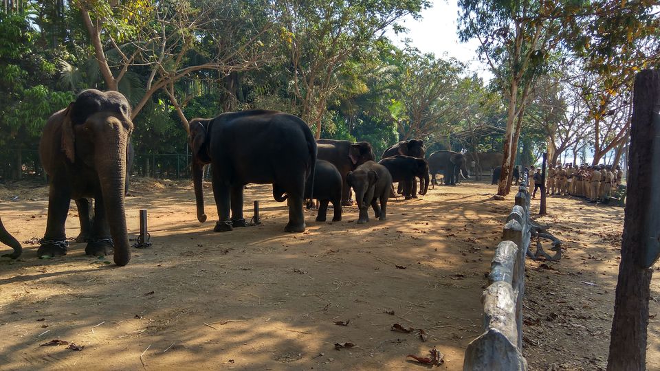 Photo of A day trip to near by places of Shivamogga by basavaraj akki
