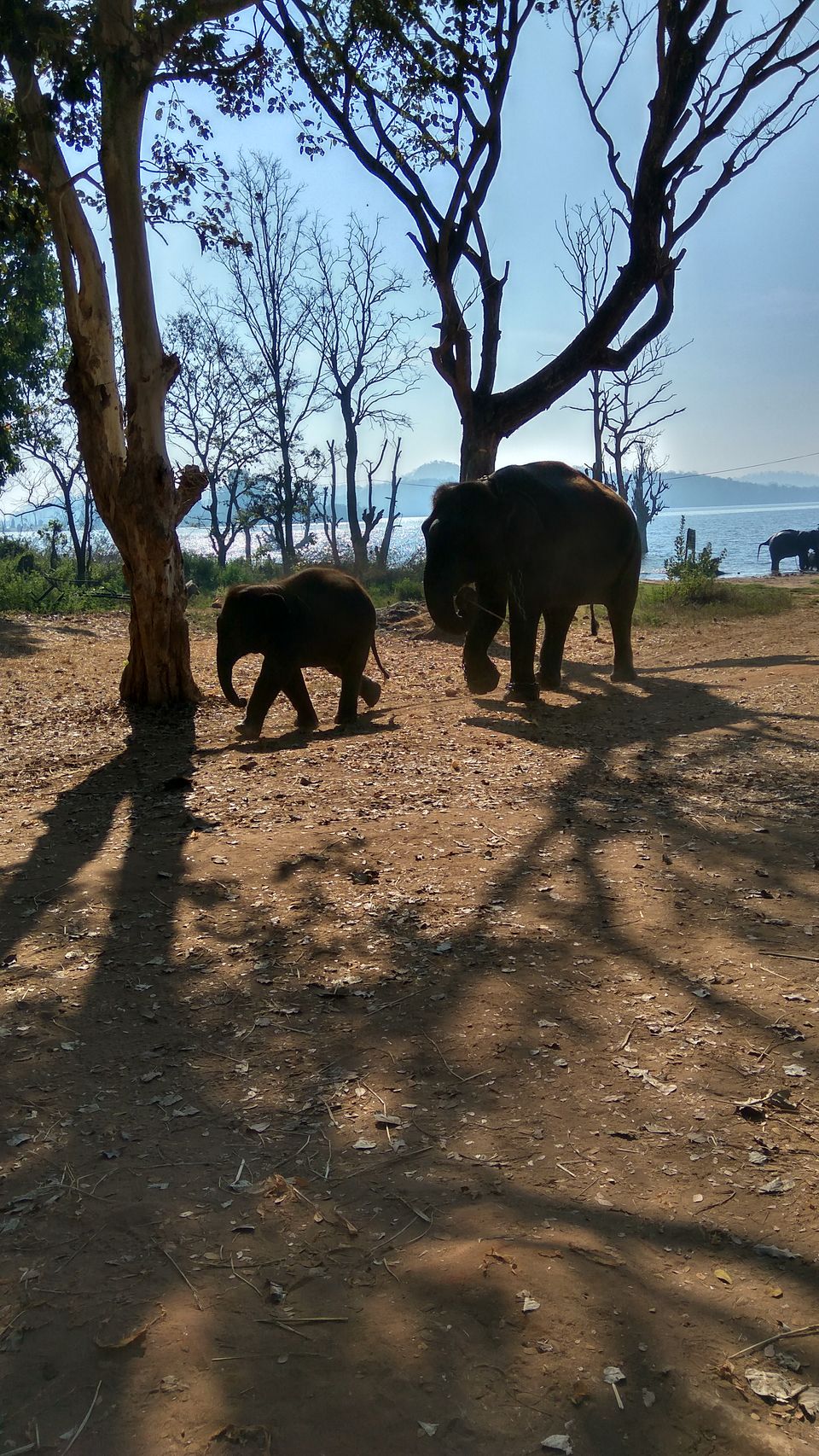 Photo of A day trip to near by places of Shivamogga by basavaraj akki