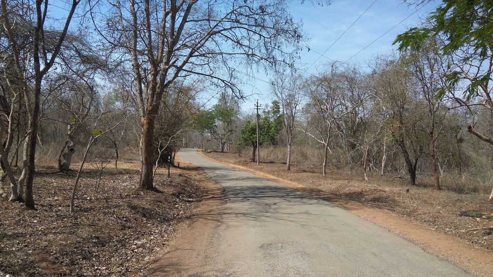 Photo of A day trip to near by places of Shivamogga by basavaraj akki