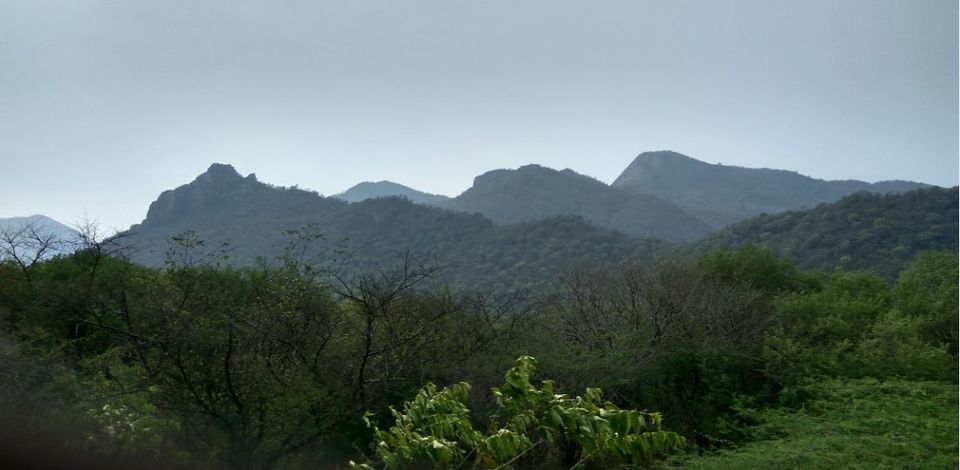 Photo of 3 Days in God's Own Country - Kerala and a visit to Isha Yoga Center, Coimbatore by basavaraj akki