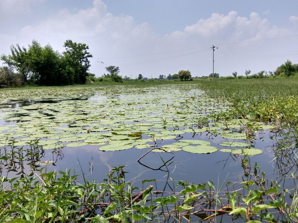 Photo of Naradagadda, Karnataka, India by basavaraj akki