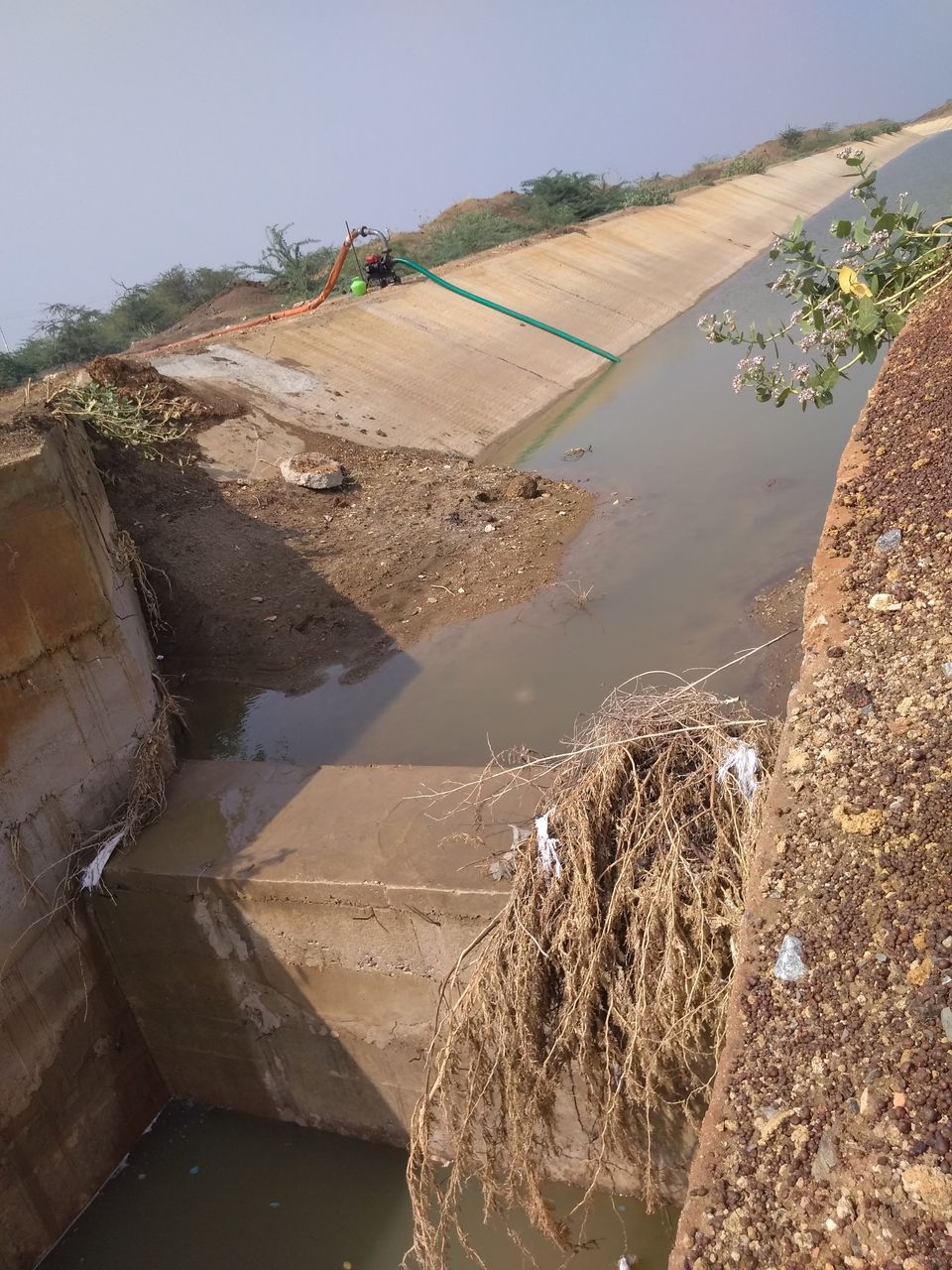 Photo of In search of GOOGAL 2/21 by basavaraj akki