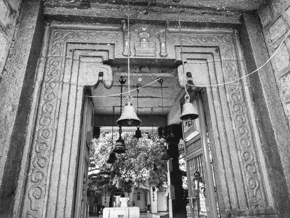 Photo of In search of GOOGAL 13/21 by basavaraj akki