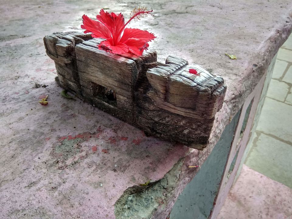 Photo of In search of GOOGAL 14/21 by basavaraj akki