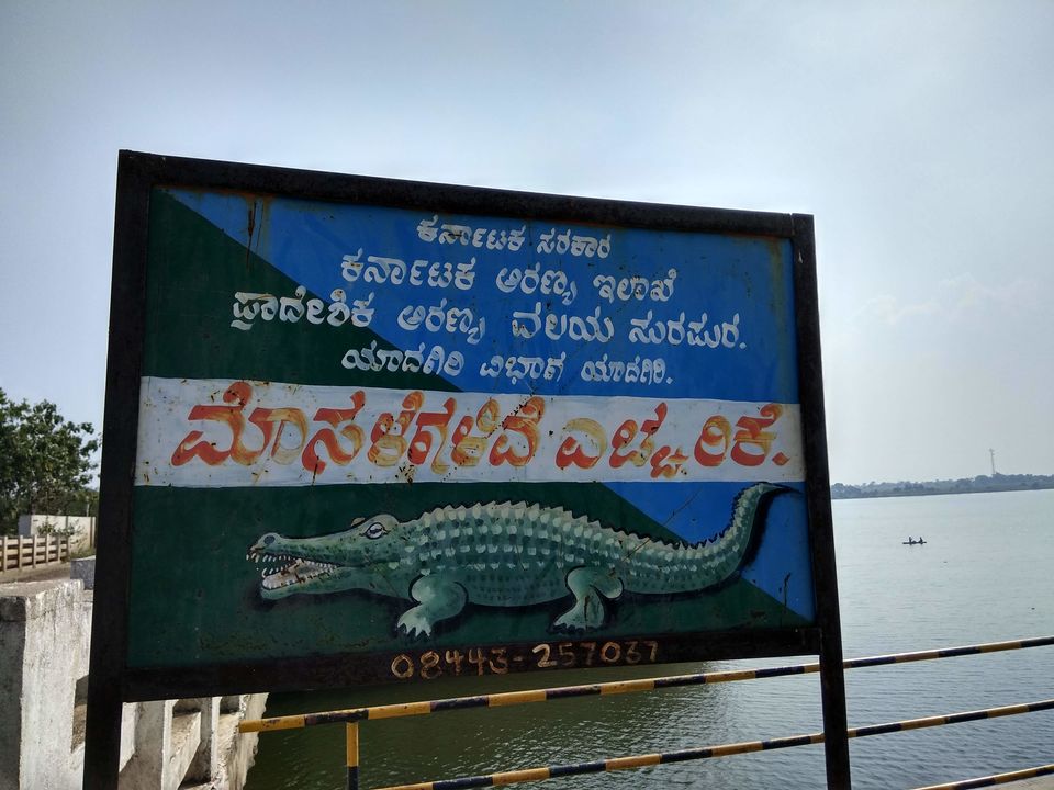 Photo of In search of GOOGAL 10/21 by basavaraj akki