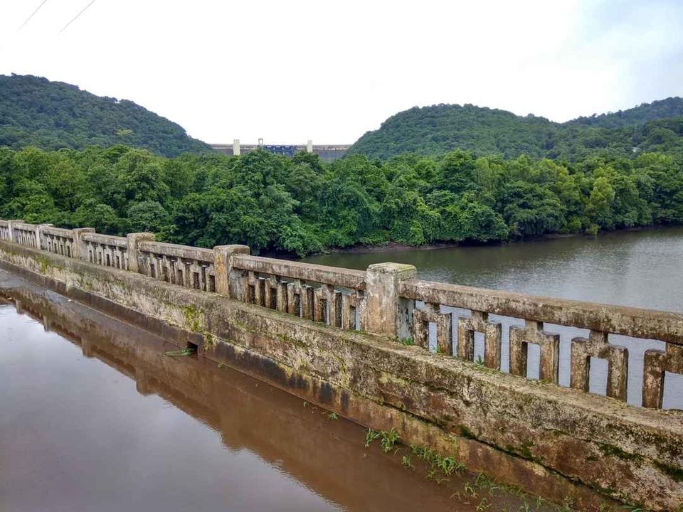 Photo of Bison River Resort by basavaraj akki