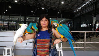 Photo of Thailand by sayanki chakraborty