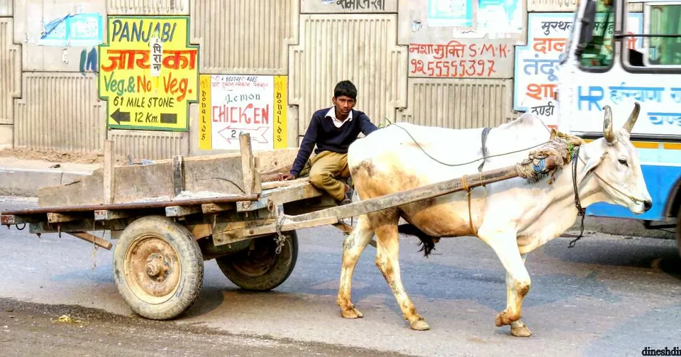 Photo of Trip to kasol and tosh by Dinesh Dinu