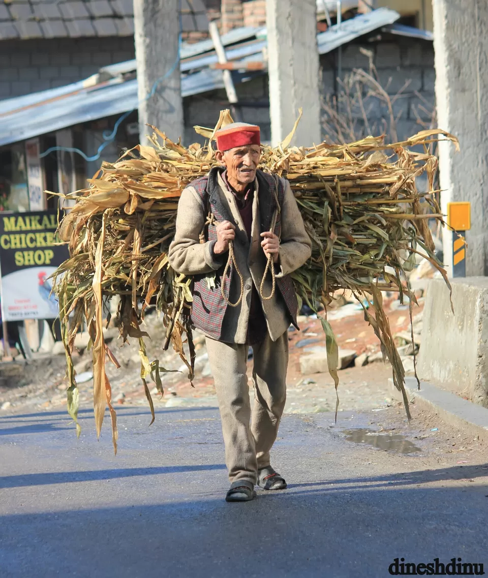 Photo of Trip to kasol and tosh by Dinesh Dinu