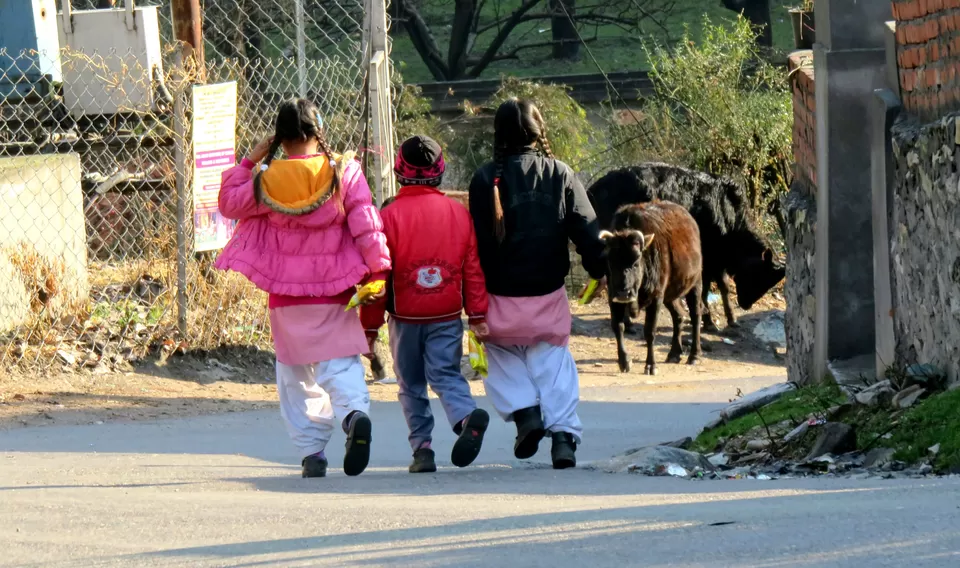 Photo of Trip to kasol and tosh by Dinesh Dinu