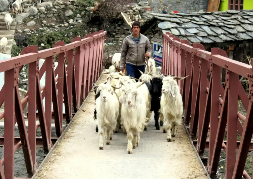 Photo of Trip to kasol and tosh by Dinesh Dinu