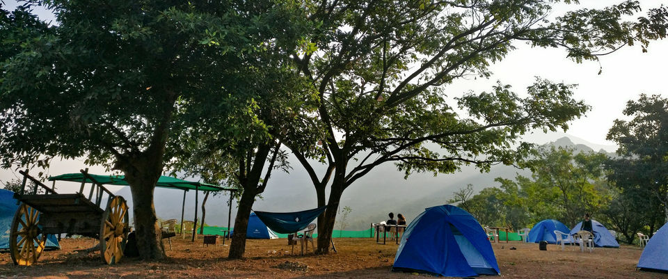 Photo of Perfect Winter Camping Getaway from Pune/Mumbai by Komal Shinde
