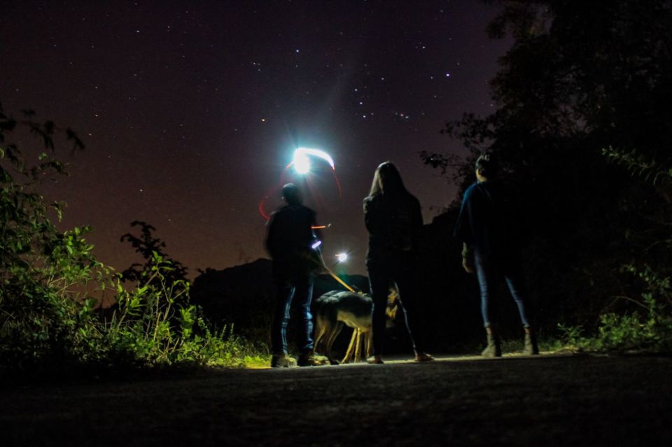 Photo of Perfect Winter Camping Getaway from Pune/Mumbai by Komal Shinde