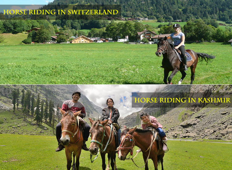 Photo of Destination like Switzerland is Just 1. 5 Hour Away from Delhi! 5/6 by Vishal Chauhan