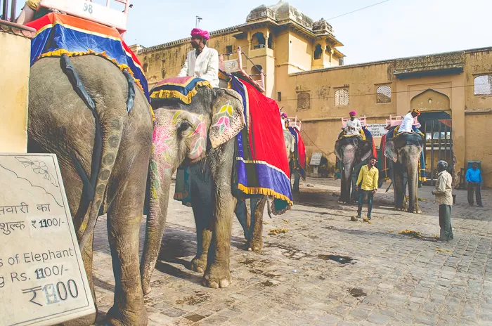 Photo of Amer Fort, Amer, Jaipur, Rajasthan, India by Kalyan Choudhury